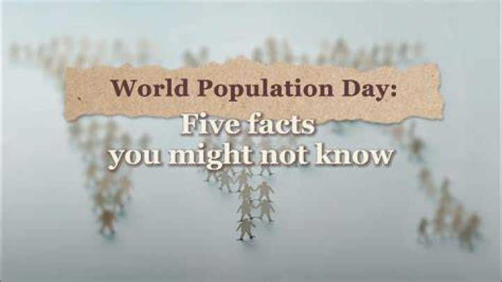 Five Facts You Didn’t Know About Beavers Chesapeake Bay Foundation